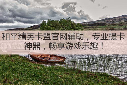 和平精英辅助提卡卡盟-和平精英辅助提卡卡盟 官方正版专业神器
